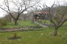 Garten 4 2012 1 027.webp
