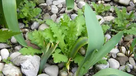 DSCN2089.webp