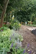 DSC00060 (2).webp
