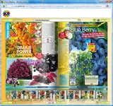 foto traubenheidelbeere.webp