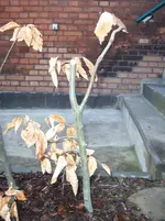 100_5893.webp