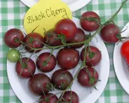 black_cherry_2.webp