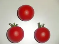 matinchen.webp