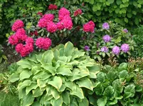 IMG_6287.webp