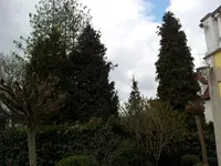 20120412_122052.webp
