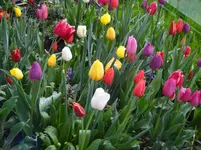 014.webp