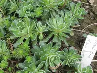 IMG_7878_1024x768.webp