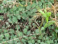 IMG_7879_1024x768.webp