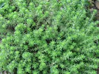 IMG_7881_1024x768.webp