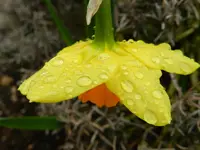 Wassertropfen024.webp