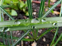 Wassertropfen027.webp