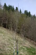 P1090691.webp