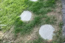 IMG_6966.webp IMG_6966.webp