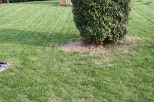 IMG_6967.webp IMG_6967.webp