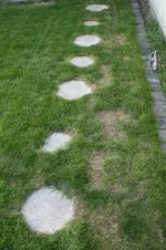 IMG_6968.webp IMG_6968.webp