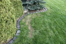 IMG_6969.webp IMG_6969.webp