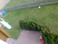 Garten-3.webp