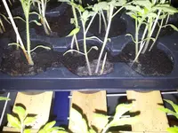 20120416_183947.webp