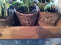 20120416_183928.webp