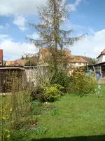 Frühlingserwachen.webp