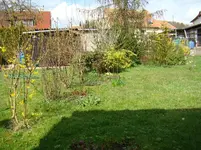 Jetzt kommt Bewegung.webp