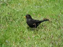 Steffan mit 2 f.webp