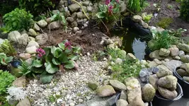 P1020472.webp
