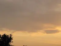 Bild 194.webp