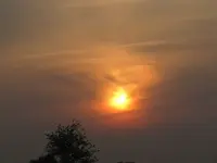 Bild 519.webp
