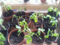20120417171058.webp