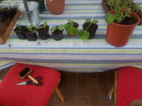 20120417175903.webp