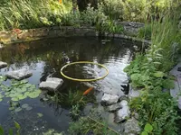 DSCF1578.webp