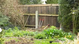 DSCN2099.webp