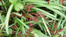 DSCN2102.webp