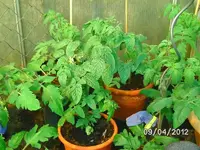 k-BILD0721.webp