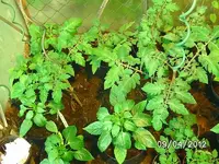 k-BILD0723.webp