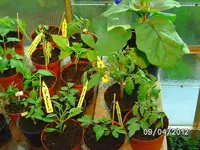 k-BILD0724.webp