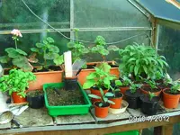 k-BILD0726.webp