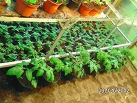 k-BILD0727.webp