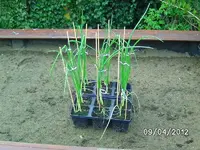 k-BILD0728.webp