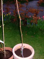 DSCF7586.2.webp