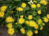 DSCF1735.webp