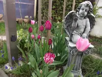 DSCF1718.webp
