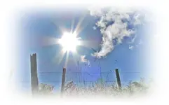 Copy of Copy of IMG_0513.webp