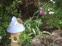 Schachbrettblume.18.04.2012.webp