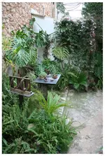 Garten in Soller 6.webp