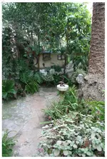 Garten in Soller 7.webp