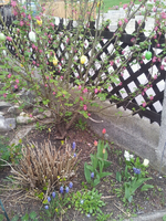 20120418121757.webp
