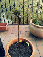 20120419183515.webp