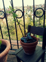 20120419183527.webp